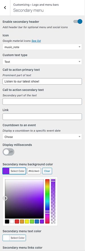 radio-wordpress-theme-customizer-01