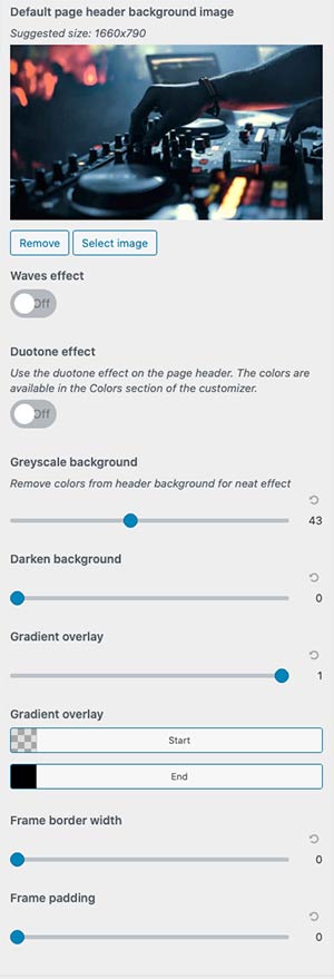 radio-wordpress-theme-customizer-04