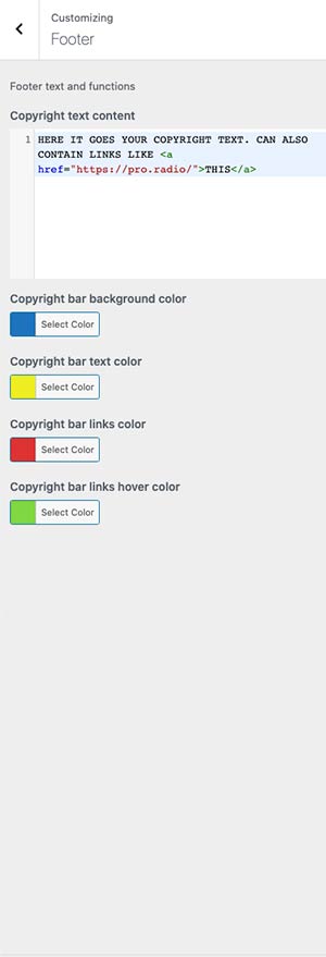 radio-wordpress-theme-customizer-07