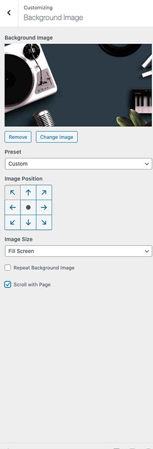 radio-wordpress-theme-customizer-08